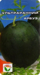 Арбуз Ультраранний 10шт Сибирский сад