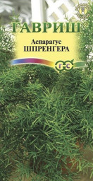 Аспарагус Шпренгера 4шт Гавриш