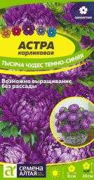 Астра Тысяча чудес темно-синяя карликовая Семена Алтая