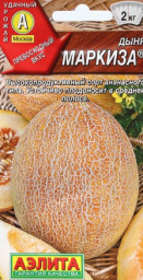 Дыня Маркиза 1гр Аэлита цв