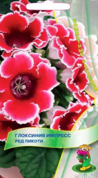 Глоксиния Импресс Ред Пикоти 5шт Поиск