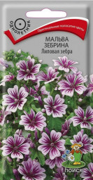 Мальва зебрина Лиловая зебра 0,2гр Поиск