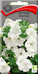 Петуния Белый шар 0,1гр Поиск