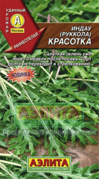 Руккола индау Красотка 0,3гр Аэлита цв